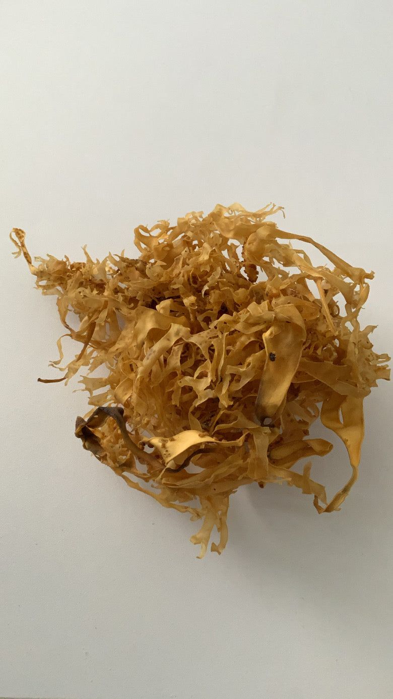 RAW GOLD PERUVIAN INCA MOSS (2 oz)