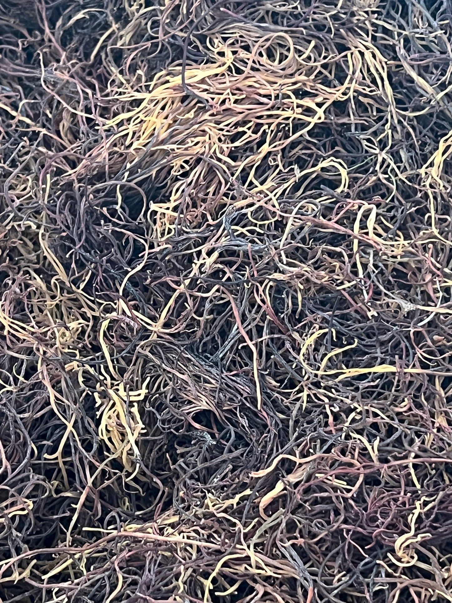 RARE Full Spectrum Sea Moss Gel