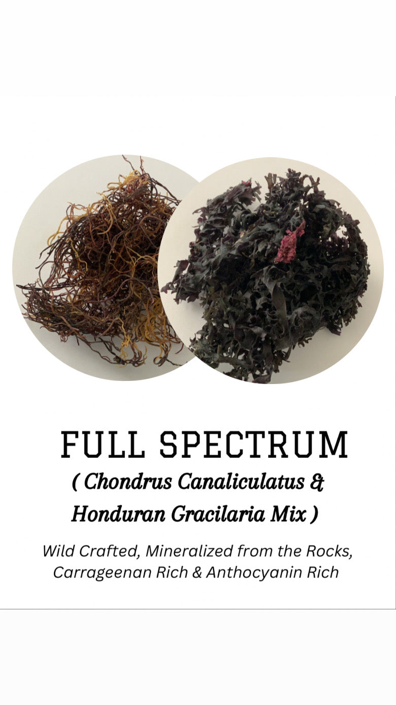RARE Full Spectrum Sea Moss Gel