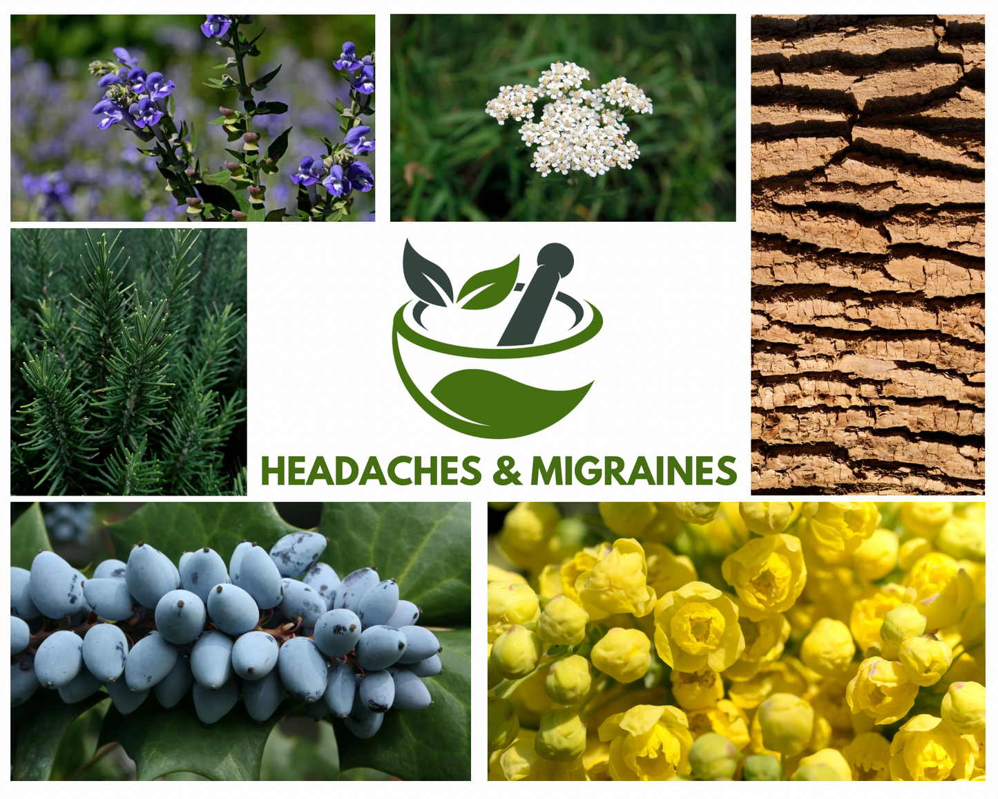 Headaches & Migraines