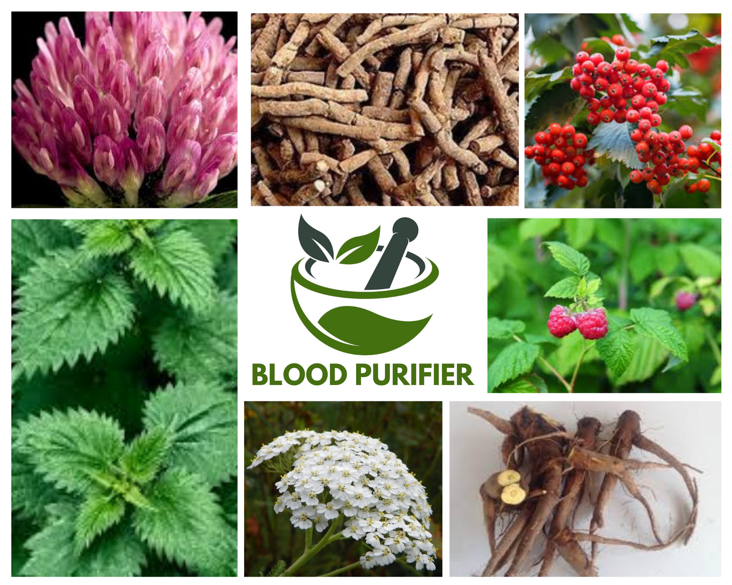Blood Purifier Blend (90 caps)