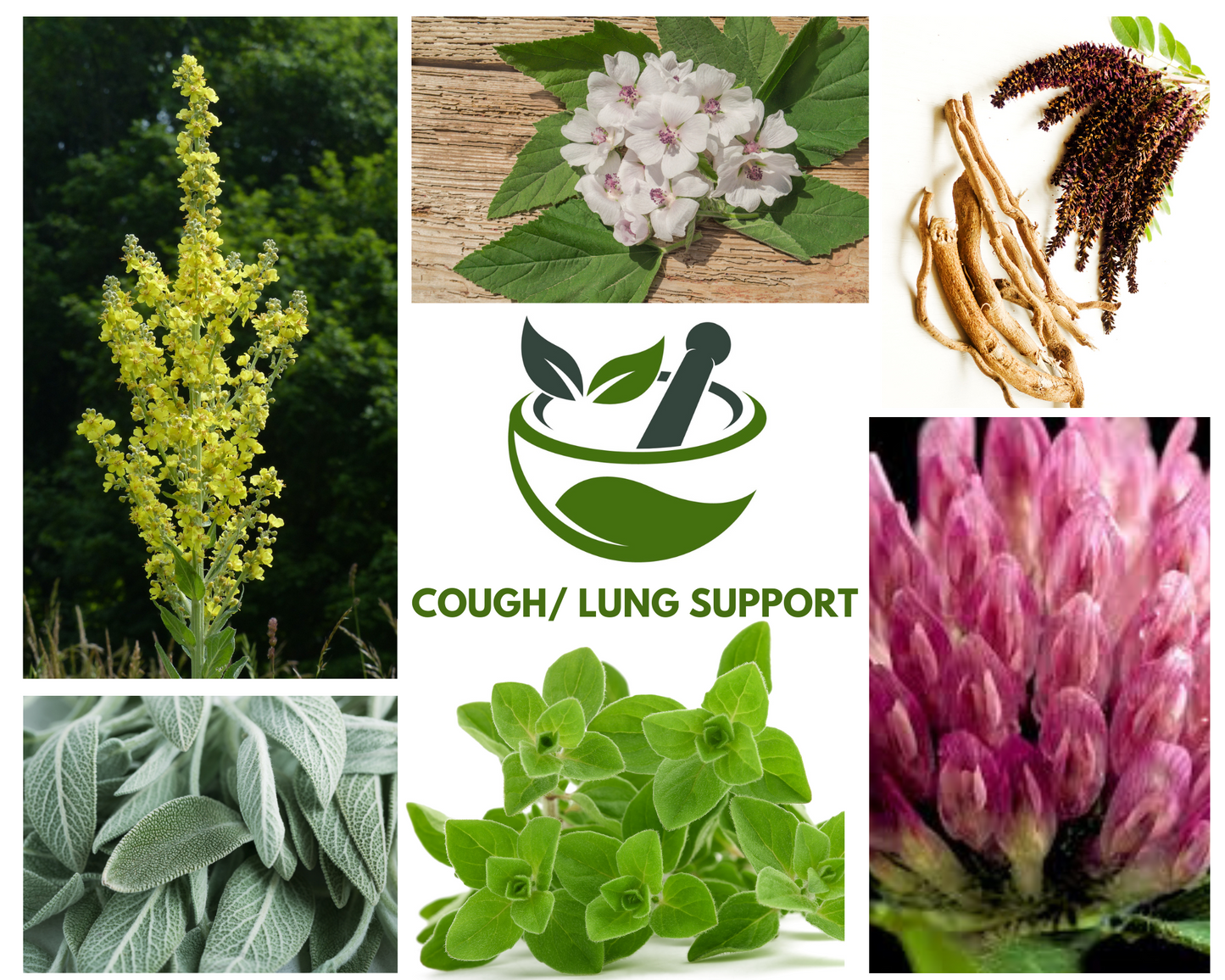 COUGH/ LUNG SUPPORT CAPSULES