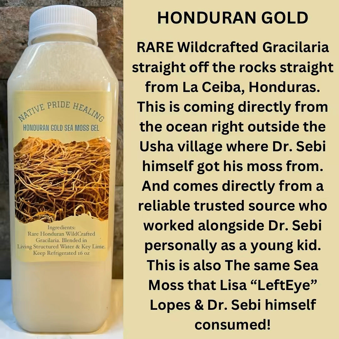 RARE Wildcrafted Honduran GOLD Gracilaria SeaMoss Gel