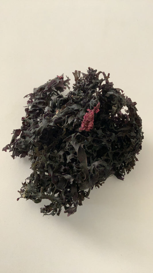 RAW PURPLE PERUVIAN INCA MOSS (2 oz)