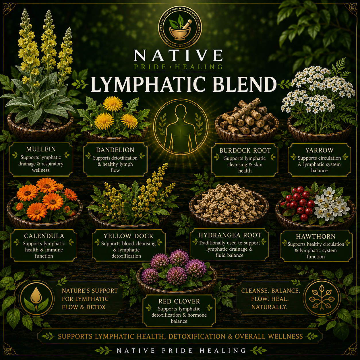 Lymphatic Blend 60 or 90 Tapioca Capsules