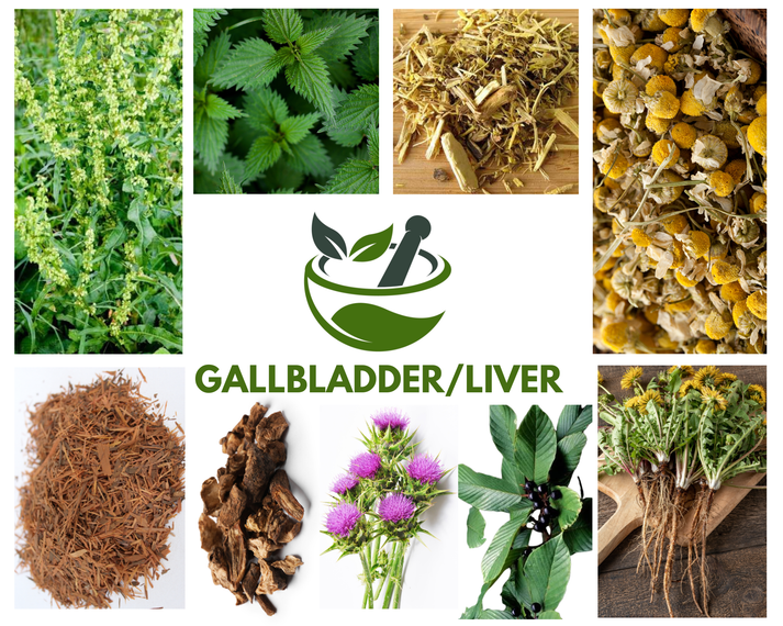 Gallbladder & Liver Detox Support Blend – Native Pride Healing