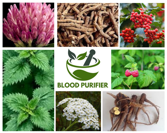 Blood Purifier Blend (90 caps)