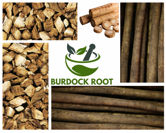 BurdockRoot Capsules