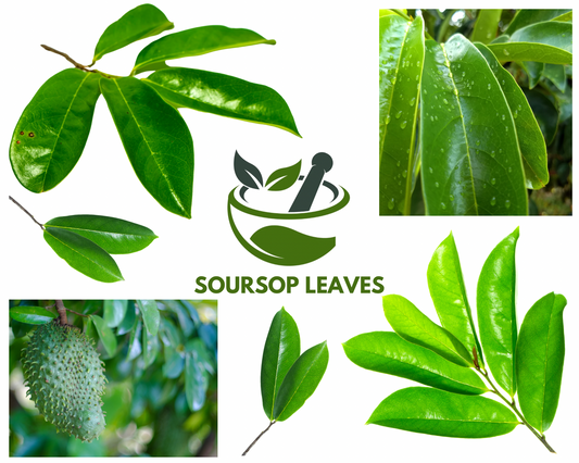 Soursop Leaf Capsules