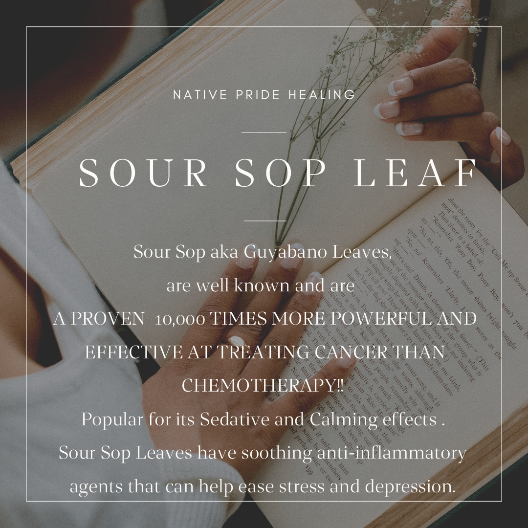 Soursop Leaf Capsules
